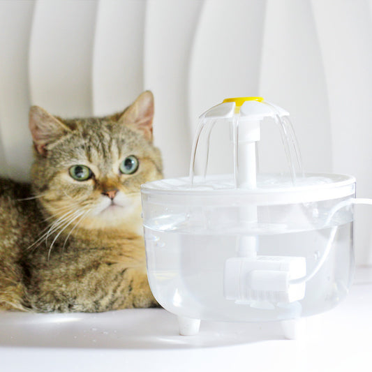 Fuente de Agua Automática para Mascotas
