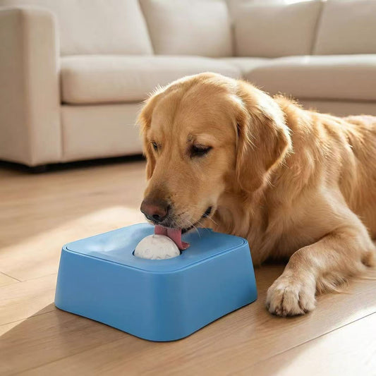 Cuenco para perros de alimentación lenta con compartimento de agua
