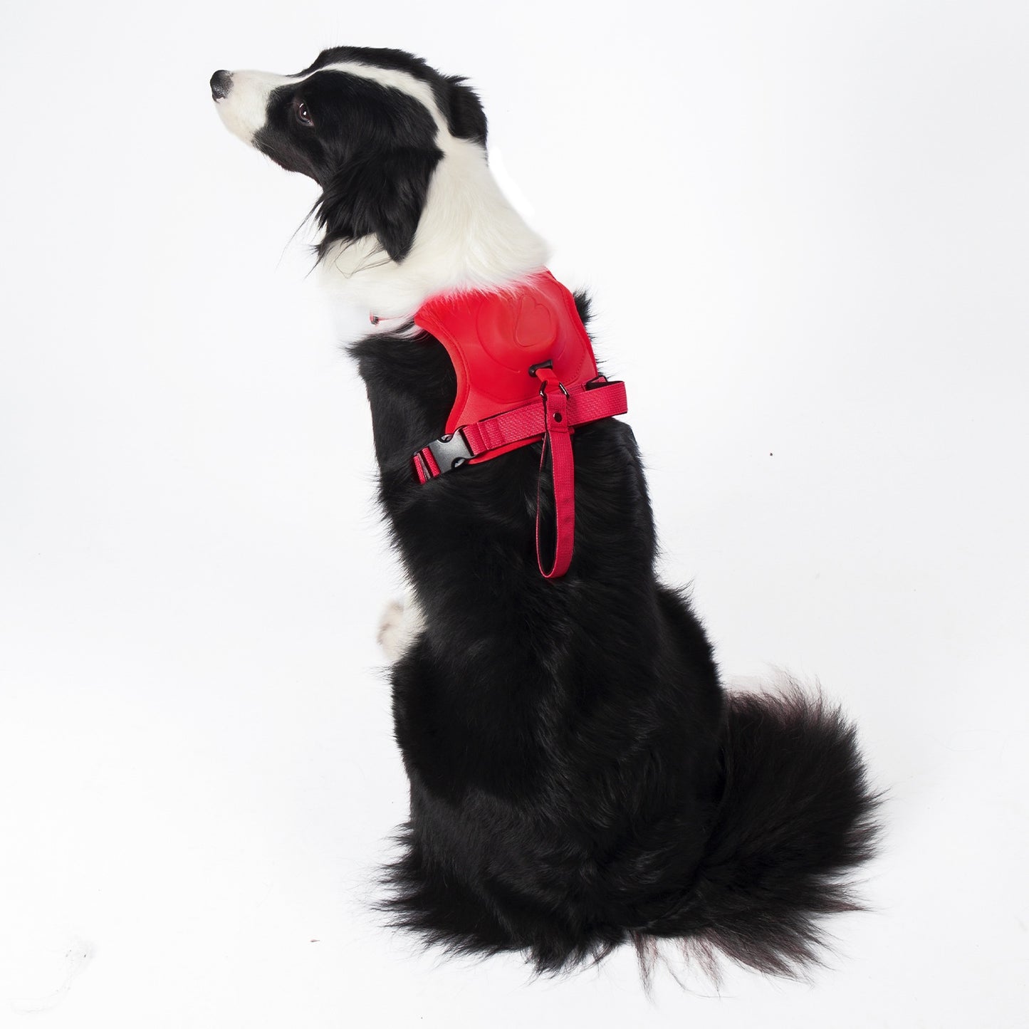 Arnés retráctil tipo chaleco para perros